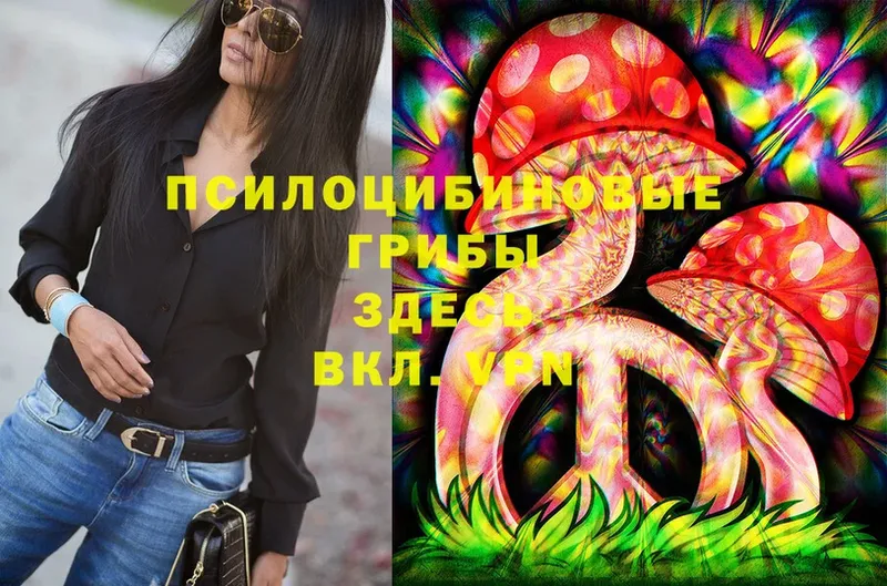 Галлюциногенные грибы Psilocybine cubensis  где можно купить   Северск 